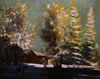 Jackson Hensley Gallery: Image